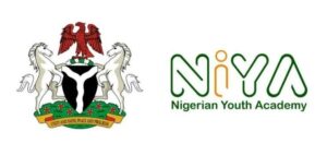 Nigerian Youth Academy Program